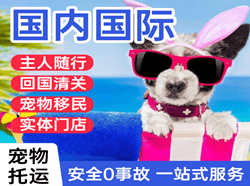 杭州空运公司国际宠物托运 【国